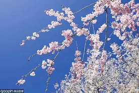 年度私藏片单 | 最受欢迎的日本电影TOP10推荐图片