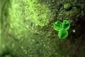 好雨知时节，“助长”好时期！图片