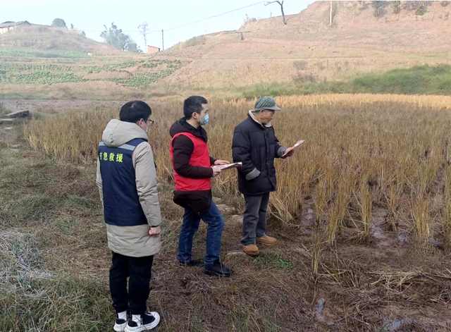 四川省民生研究会新媒体中心-官网