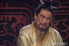 二十五个亲儿子、三大养子文武兼备，绝世枭雄为何未能一统天下？图片