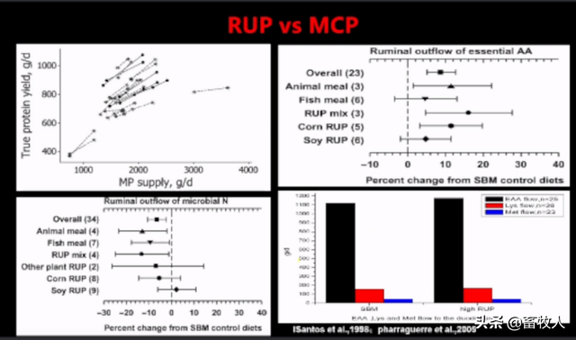 「学习笔记」卜登攀研究员：过瘤胃氨基酸生物利用率评价与利用