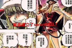 海贼王1080话：原来sword部队是赤犬建立的，我们冤枉了他20年图片