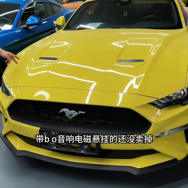 有点长，慢慢挑，有的是#谢尔比gt500