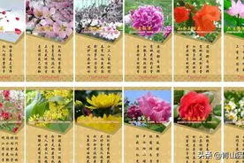 每个人都有自己的花神，你几月出生？什么样的花神在守护你？图片