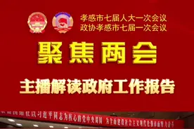 聚焦湖北市州两会 | 解读孝感市政府工作报告图片