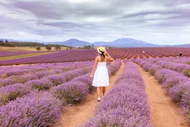 征服女人的最佳技巧：学会“接吻”图片