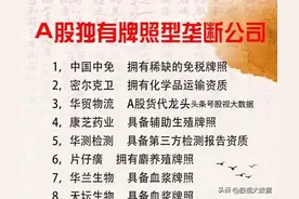 A股独有牌照型垄断公司一览图片