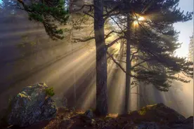 拍摄风光要怎么选择对焦方式，单点还是多点？具体还得这样来操作图片