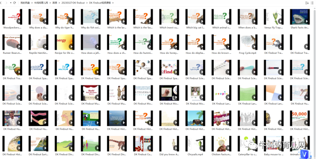 重磅科普视频课《DK findout》，拓展大孩子视野提升见闻