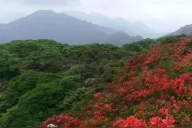 农村俗语:“清明上坟有禁忌，若做五事有晦气”，说的是哪5件事？图片