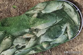 钓鱼技巧：详解飞铅钓，盛夏野钓，这2种飞铅钓法，出场率极高图片