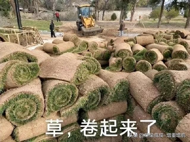 想变壮要吃补剂吗？什么是补剂？