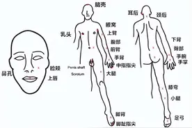 全身上下，蛋疼最疼？图片
