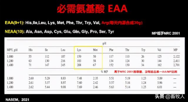 「学习笔记」卜登攀研究员：过瘤胃氨基酸生物利用率评价与利用