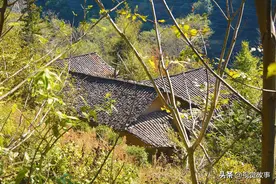 隐藏在深山中的瓦屋，10余年无人住，看为啥50万不卖图片