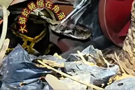 广东惠州 一居民家门口惊现一条巨型蟒蛇，居民手足无措只好拨打119求助图片