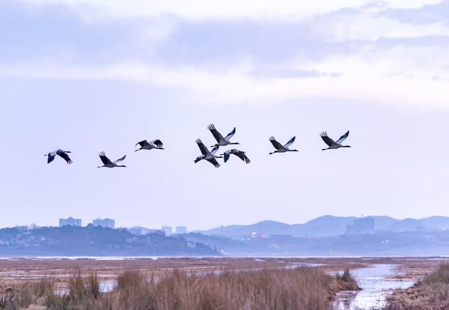 早晨、推窗感心