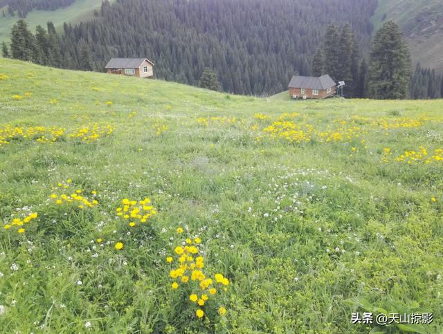 一万泉美景