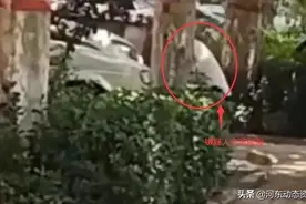 河北发生重大刑案，41岁女子当街被杀害，嫌疑人逃跑途中出车祸图片