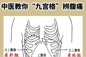 五脏六腑的疼痛区高清图，让你明白身体疼痛都是哪条经络不通？图片