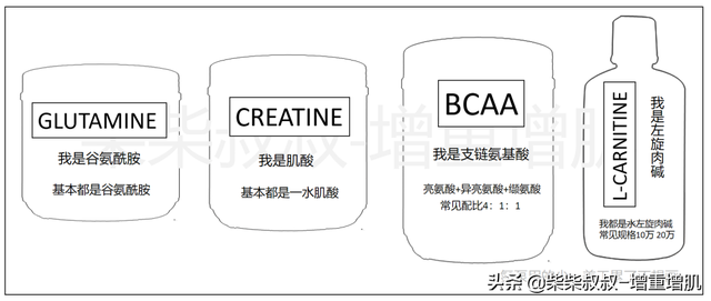 想变壮要吃补剂吗？什么是补剂？