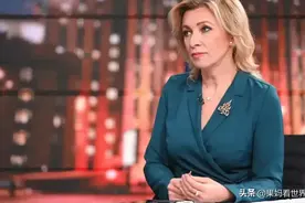 荷兰让俄罗斯“暴揍”，一下打醒众小国：一个小国，还想出头？图片