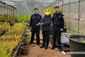 张某某，3年内禁入！郑某，终身禁入！图片