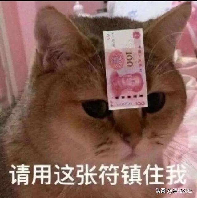 腾讯又搞出个爆款真人游戏？！完蛋，这也太刺激了…..