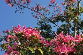 钱穆先生：漫谈灵魂转世图片