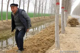 乡村纪实：中年丧妻的伯公，把子女都拉扯大后，晚年却被这样对待图片