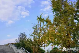 去江畔逛博物馆，再看“海”赏夕阳，有文有景不虚长沙游图片