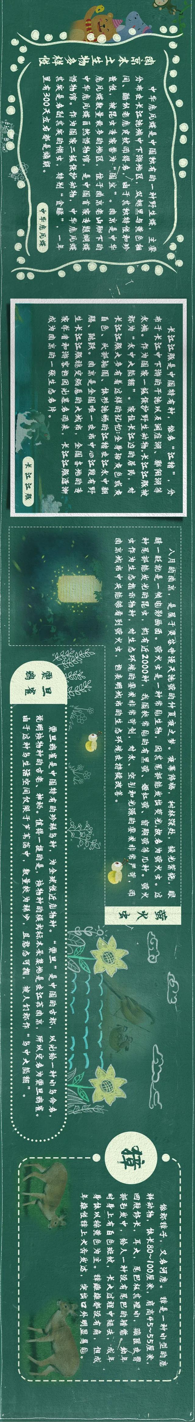 开学第一课|风车娃邀你共赏环保主题板报～