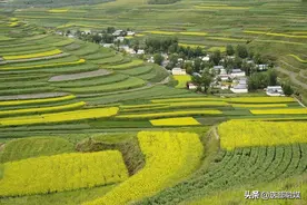 甘肃省低保标准2022是多少？特困人员供养标准每月多少钱？图片