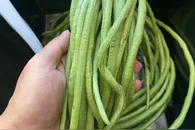 晒干豆角，别直接放太阳下晒，难怪口感差，牢记3点，好吃易保存图片
