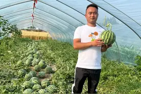 河南夏邑小伙18岁做西瓜代办，1年学7年单干，如今一年卖出7000吨图片