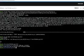 超好用的动态域名解析工具——DDNS-Go图片