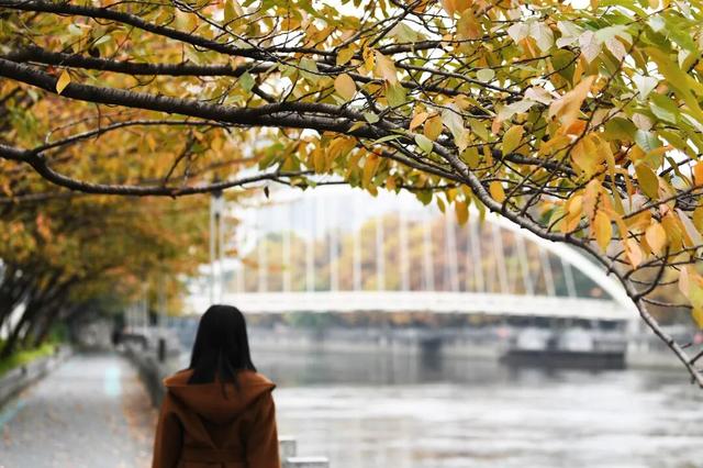 南明区：初冬时节好风景