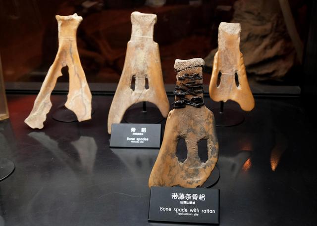 甲骨文“帝”字字源的新解读