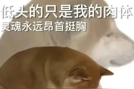 萌宠表情包：我的爱是垃圾吗，你有想过我一秒吗图片