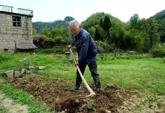 湖北一老汉自制棺材穿寿衣，喝农药孤独死去，离世前留下8个字