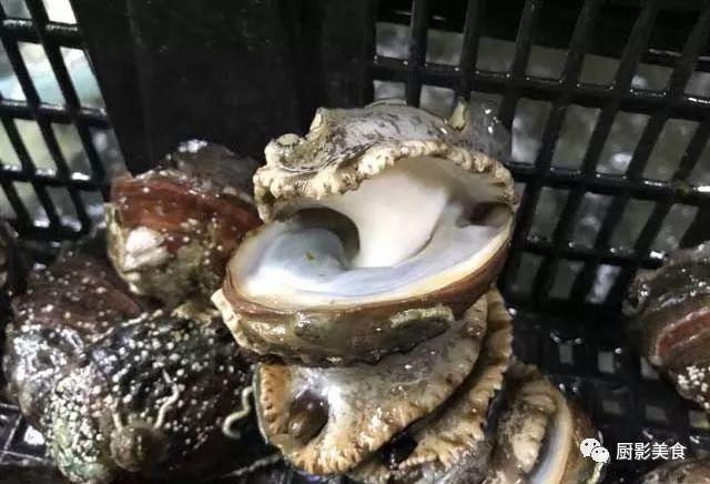 花胶选几级的 花胶等级顺序鱼胶排名大全