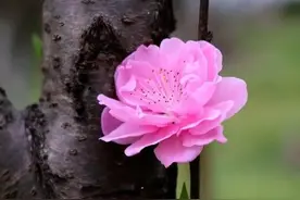 玄学小故事！图片