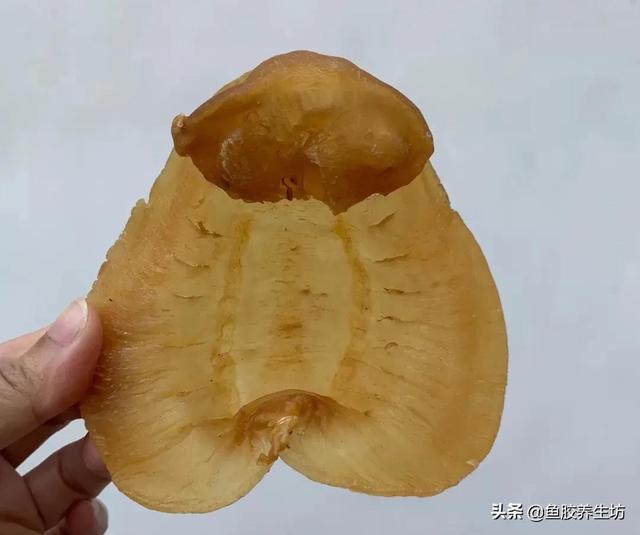 人工合成花胶 人工合成花胶可以吃吗