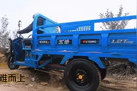 冲刺四季度，三轮车大战开启，宗申、五羊、金彭多款新车上市图片