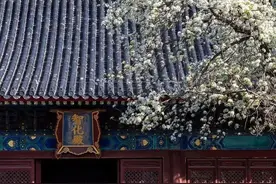 关于“春”的八首古诗词，你喜欢哪一首？图片