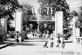 一组老照片引起的回忆图片