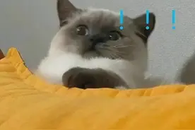 并非个例！男子“二阳”后耳聋，医生提醒6点图片