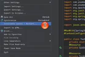 IntelliJ IDEA 索引和缓存图片