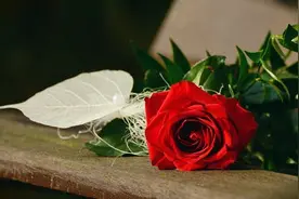 男人给你发的信息，能看出他是否想你，想你的人发的信息很不同图片