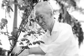 孙立人将军的遗憾：爱情.亲情图片